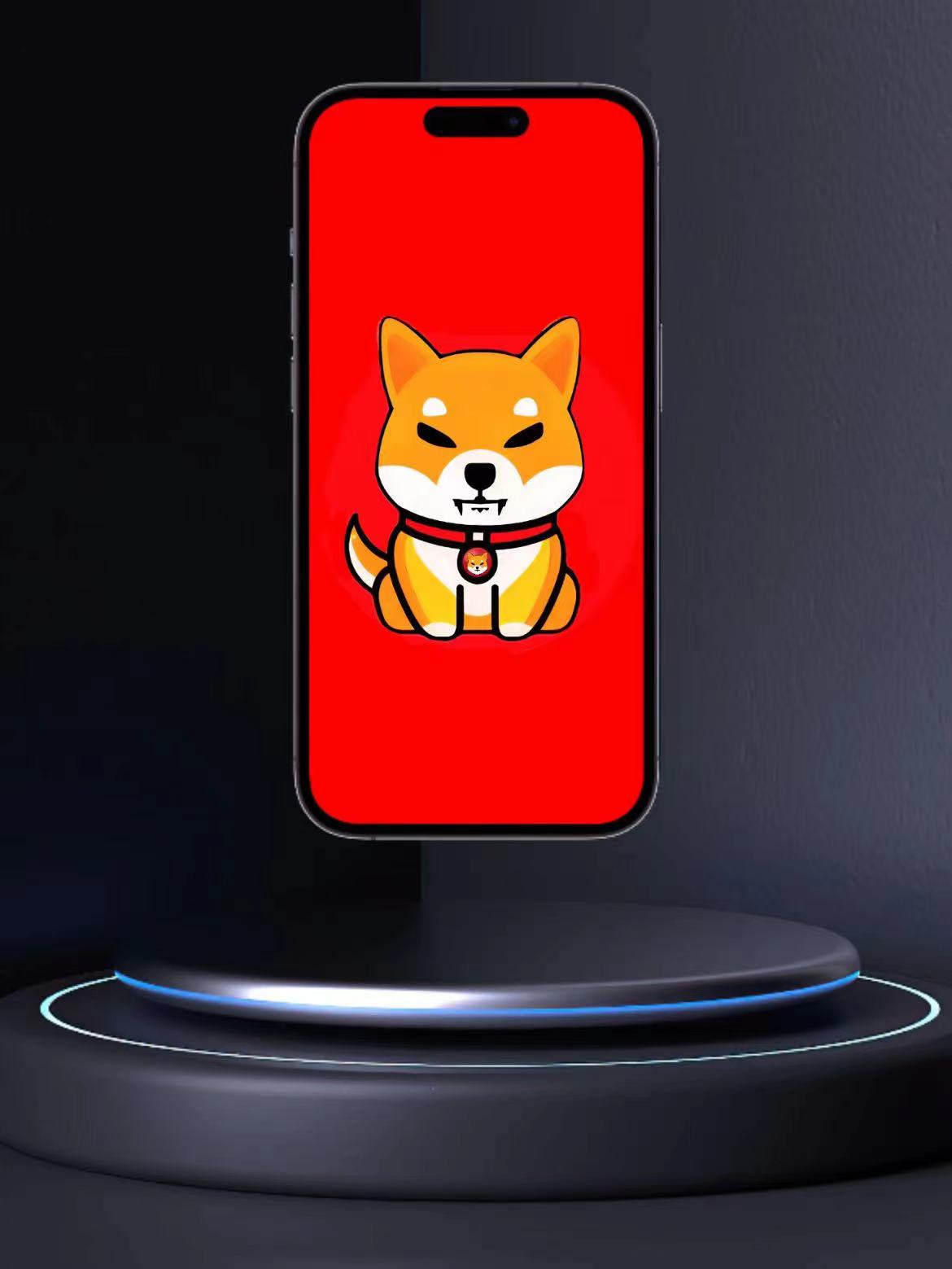 BabyShiB