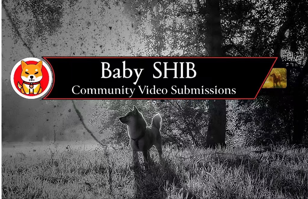 BabyShiB